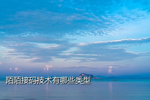 京东接码团队
