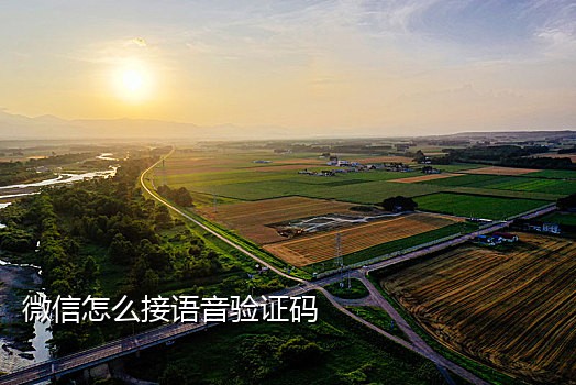 可以接微信接码官网