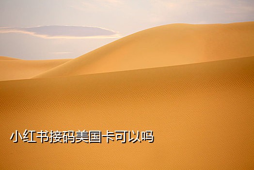 接美团码平台