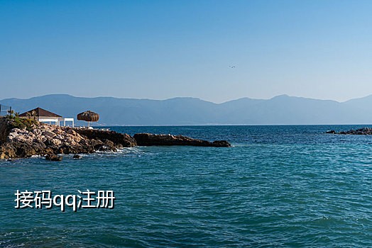 接码专用手机卡