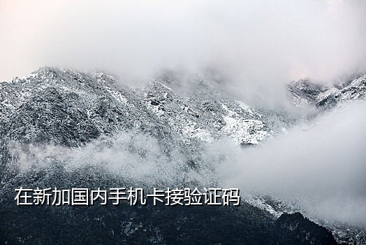 接码注册美团手机号