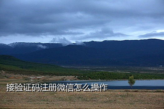 接码注册澳门微信平台