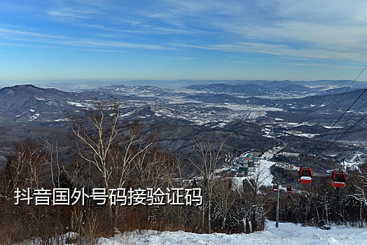 接码手机验证
