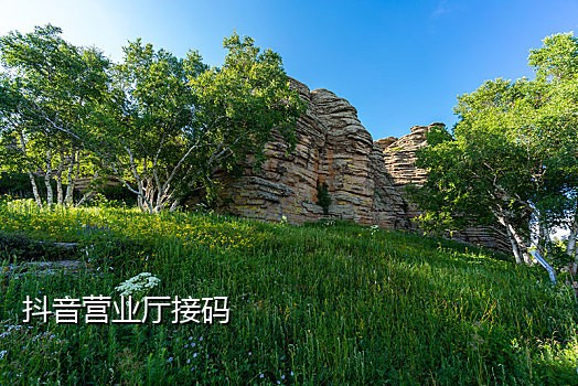 接码手机号离线