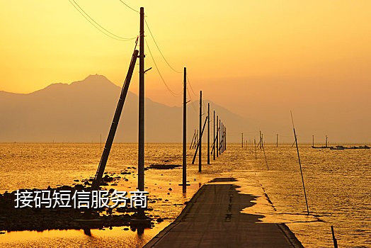 可以发短信接码的平台