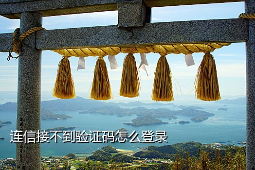 接码平台怎样登录微信