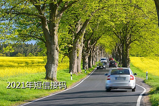 接码平台为什么收不到短信