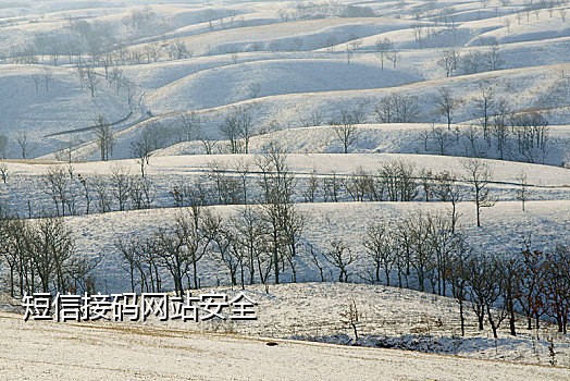 接码平台微信授权
