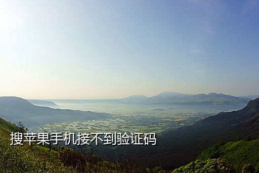 接码平台手机版app