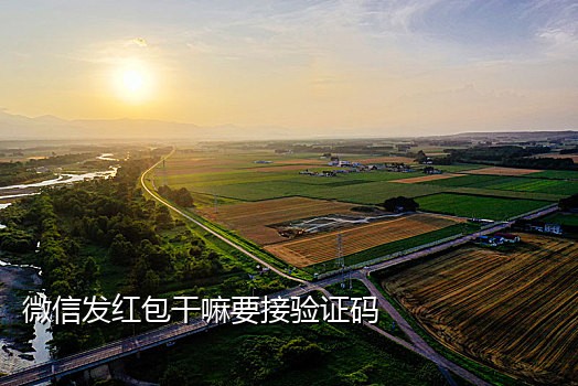 接码平台能接码连信的