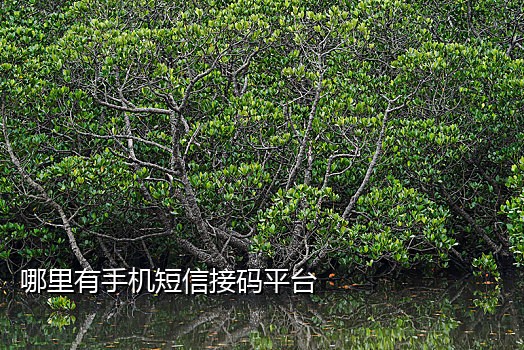 接码平台可以发送短信