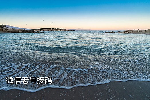 接码平台国外手机