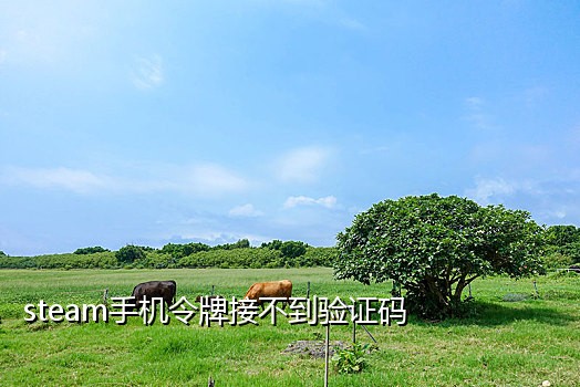 接快手码平台