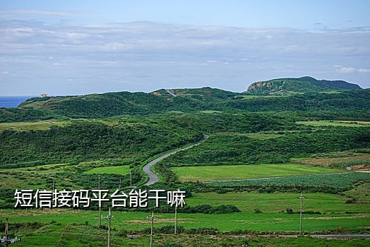接不到Twitter发的验证码