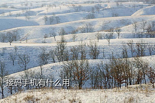 极码接码手机版