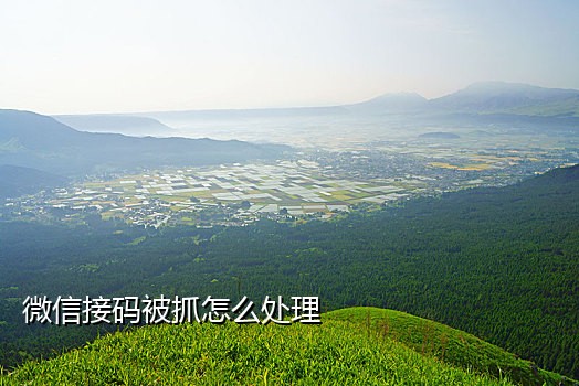 韩国手机号在国内接验证码