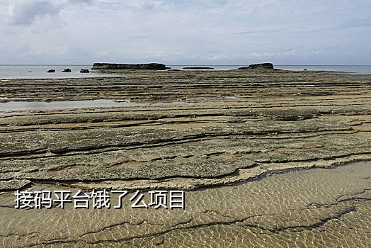 海外手机接码服务器