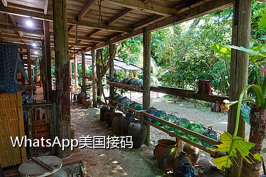 国外手机号接码网站有哪些