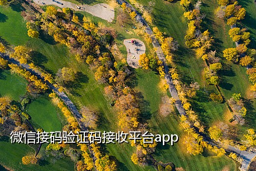 国内临时手机号接码