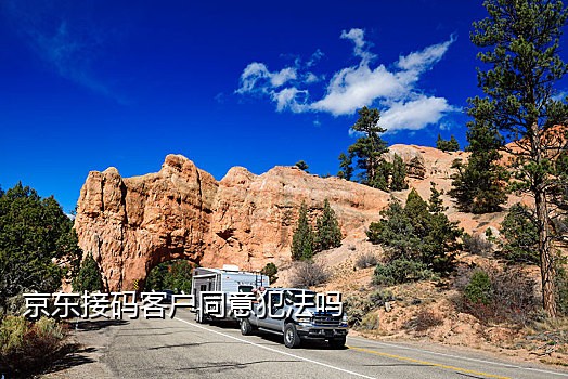 共享接码百度云