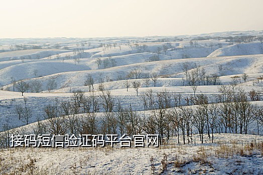 饿了么接码怎么操作