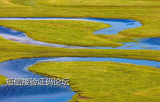 短信验证平台在线接码