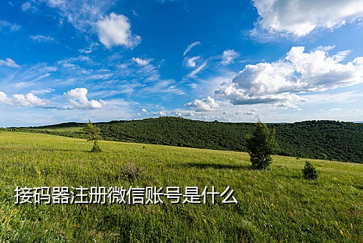 短信接码注册机软件是什么