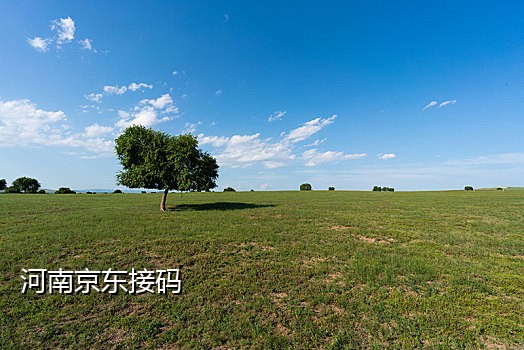 短信接码项目查询是什么