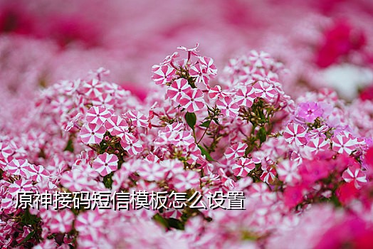 短信接码是什么