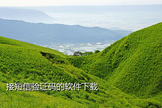 短信接码神器