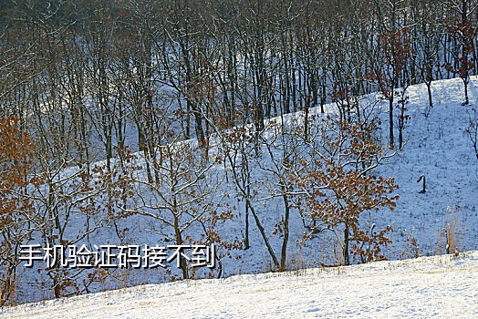 短信接码卡商