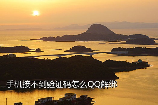 京东接码群998