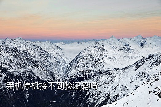 抖音网页接码