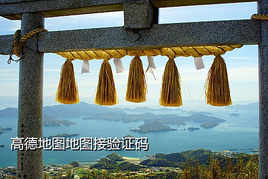 抖音接码机器