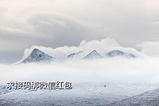 抖音接码号怎么登陆