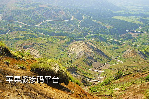 代接短信验证码违法吗