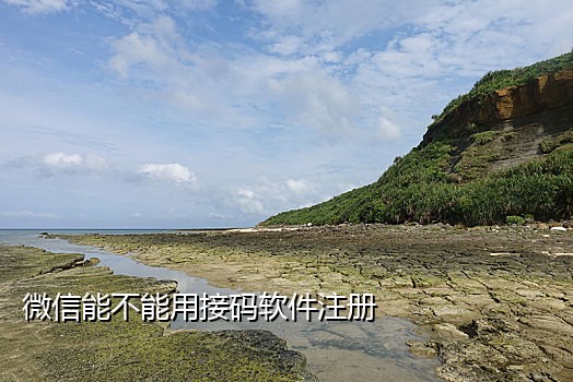 代接短信验证码软件破解
