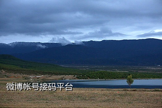 常用的手机验证码接码平台
