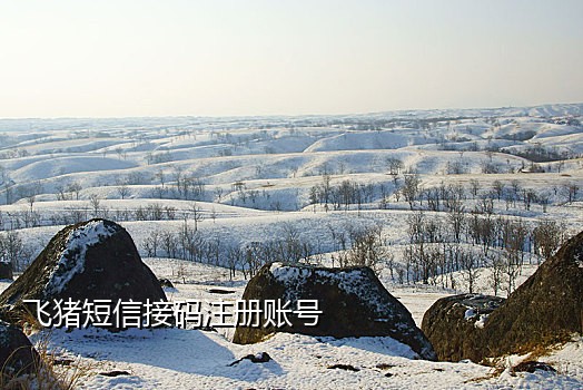 不跑路的短信接码平台