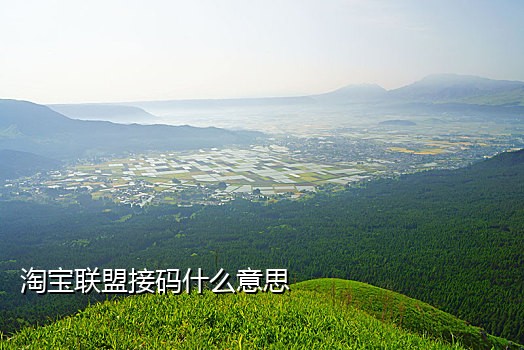 笨笨接码1.4苹果版