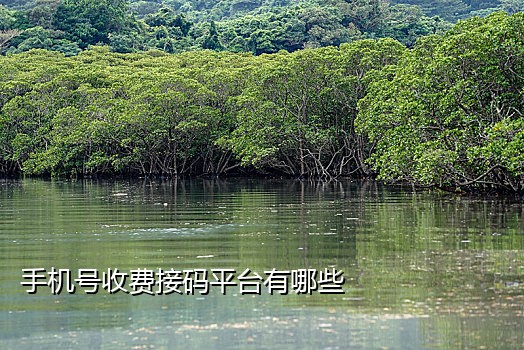 百度极速接码注册