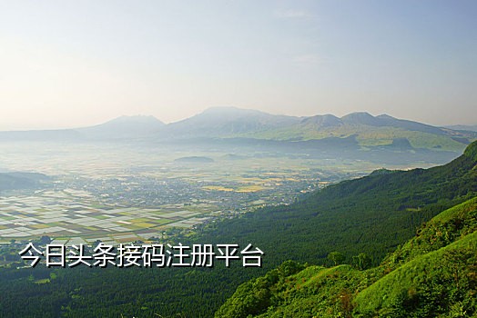 阿里巴巴接码代付怎么做