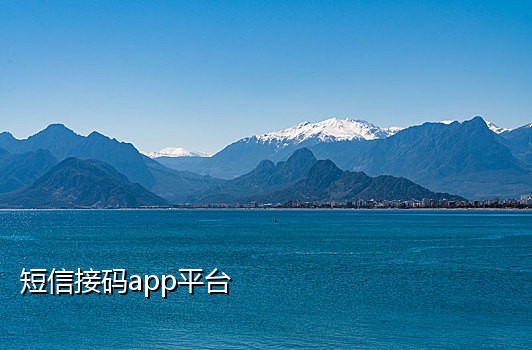 yy接码平台