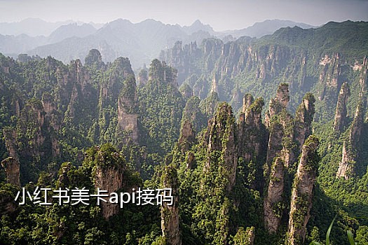 WhatsApp美国接码