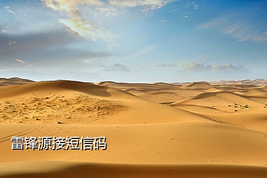 qq令牌接码软件