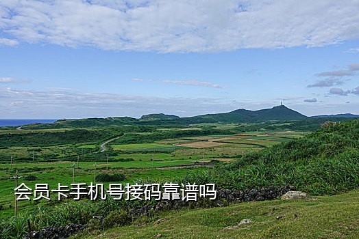 apple手机接不了码