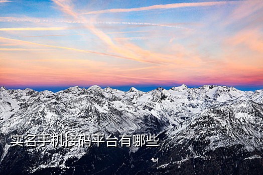 2021短信接验证码平台