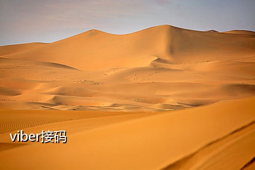 2020年支付宝接码项目