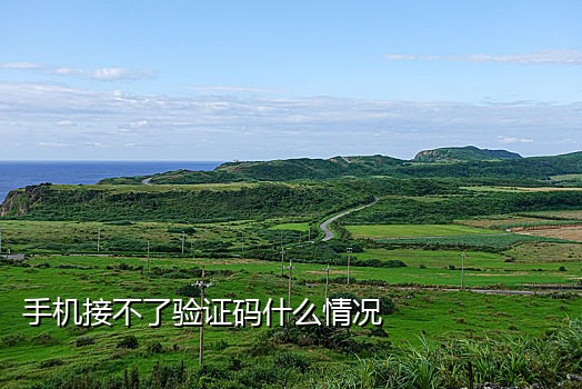 162接码短信平台