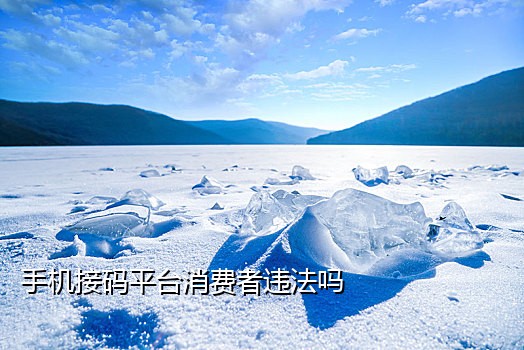 注册微信接码什么价